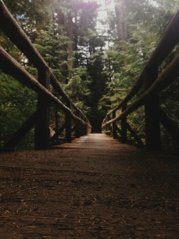 Chase Blood - On the way