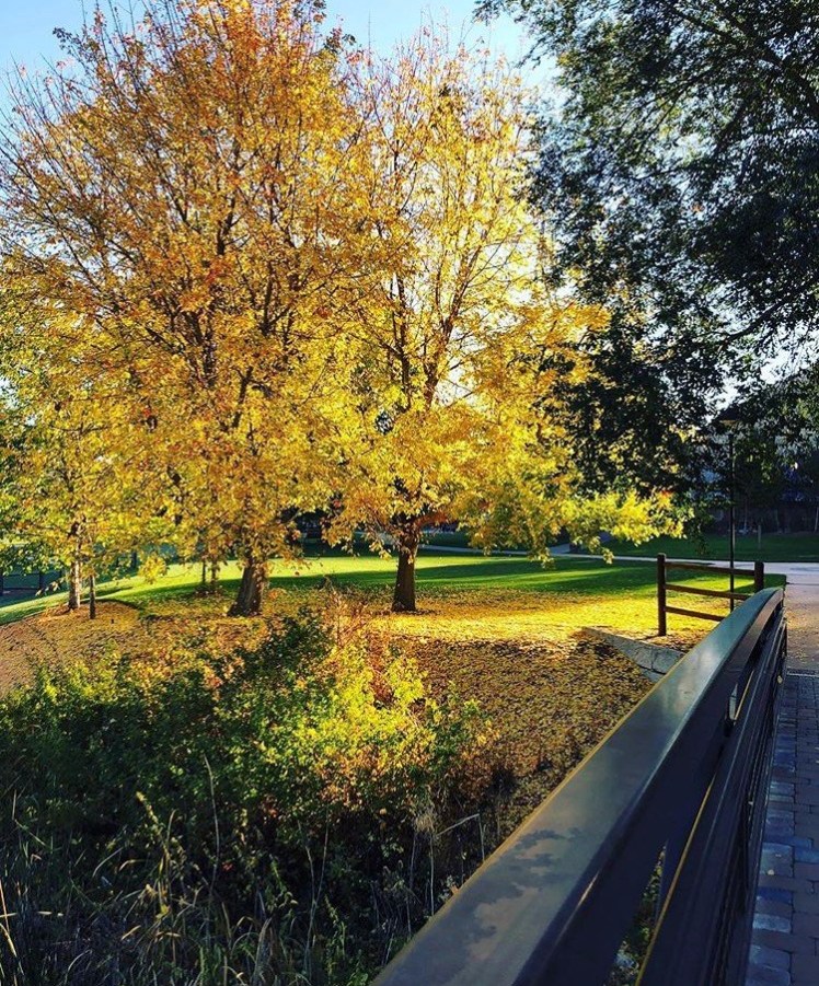 Fall Brilliance at WFR